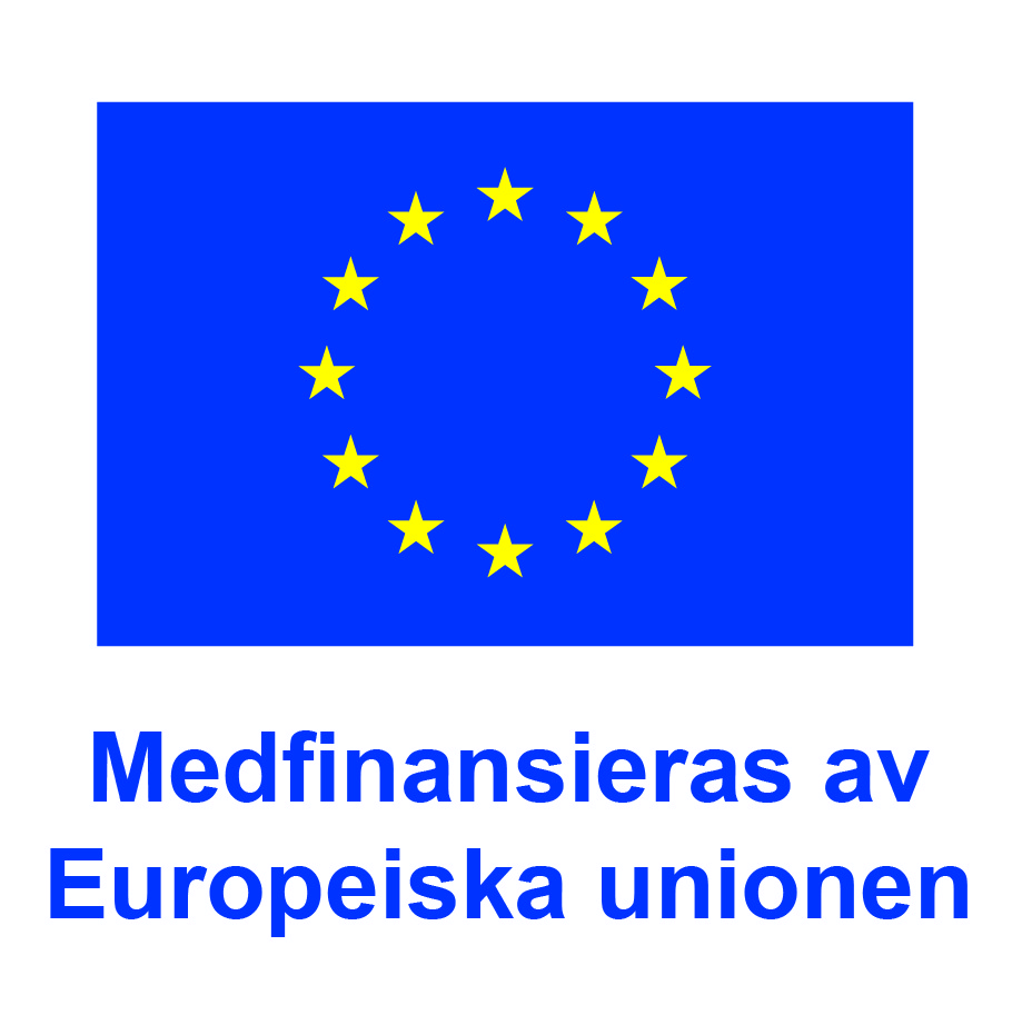 BJ SV V Medfinansieras av Europeiska unionen_POS