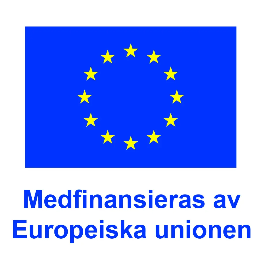 BJ SV V Medfinansieras av Europeiska unionen_POS